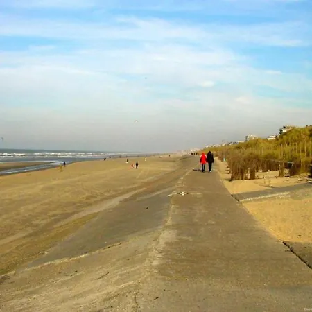 Appartement In Near Blankenberge