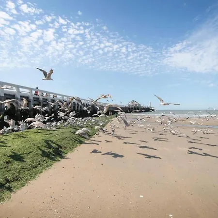 In Near Blankenberge