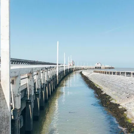 Apartment In Near Blankenberge