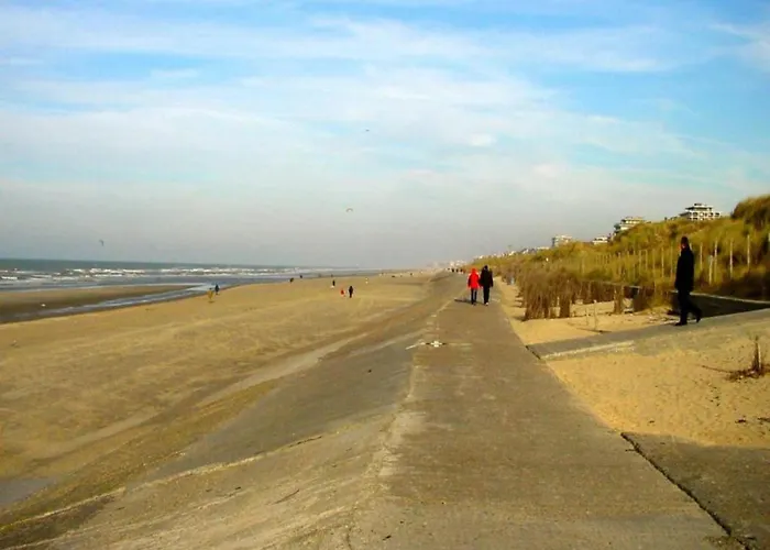 Appartement In Near Blankenberge