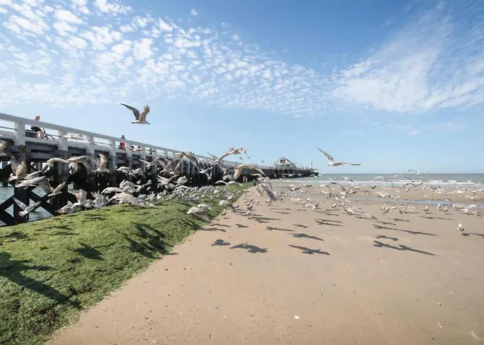 In Near Blankenberge