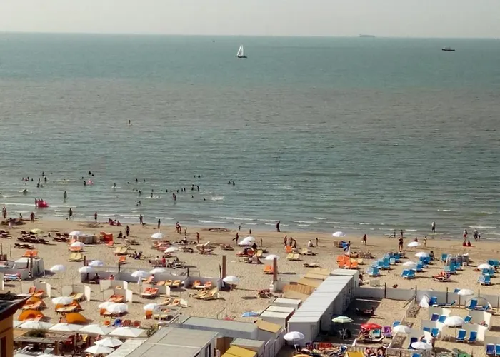 Appartement In Near *